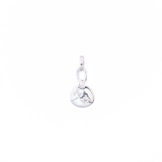 SILVER CUBIC ZIRCONIA COIN CHARM