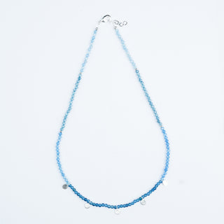 OMBRE DISC NECKLACE